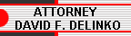 ATTORNEY 
  DAVID F. DELINKO